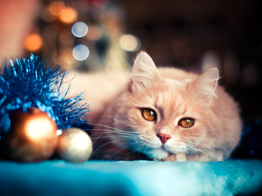 �1762979 �������(a): ����������:3773x2823